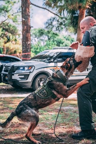 Duties Performed by Police Dogs