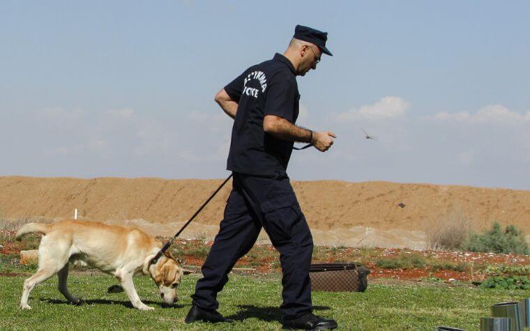 Which Dog Breeds Are Best for Law Enforcement?
