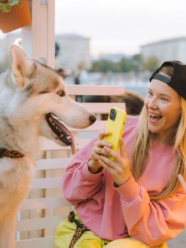 Smiling Dog Breeds to Bring a Smile to Your Face