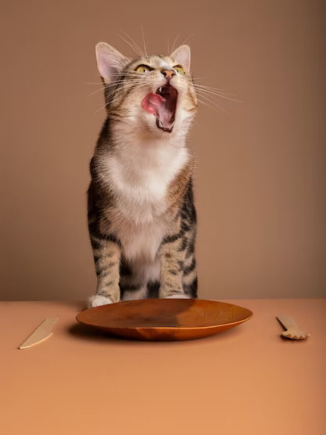 10 Poisonous and Toxic Foods That Can Kill Your Cat