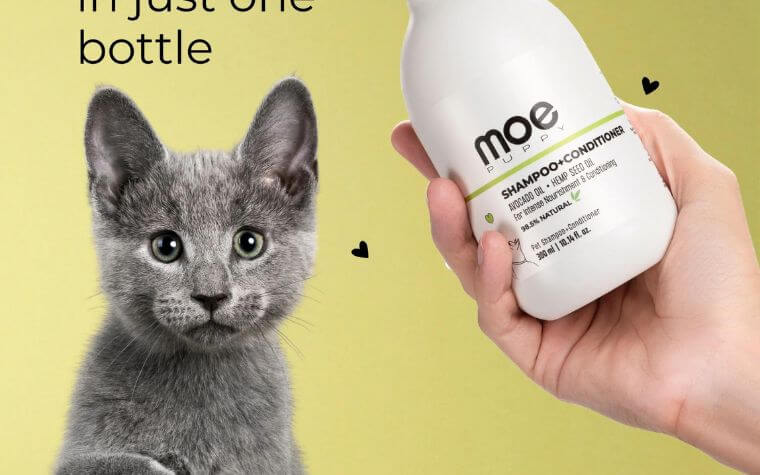 Cat-Specific Shampoo and Conditioner