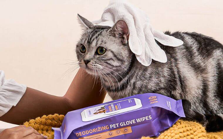 Grooming Wipes