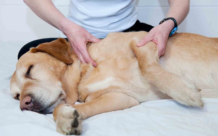 Relaxing Massage