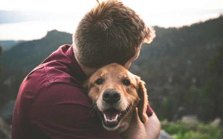 Top 5 Emotional Support Dog Breeds - Discover the Best Companions for Your Mental Health